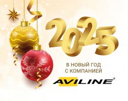 С Новым 2025 Годом !